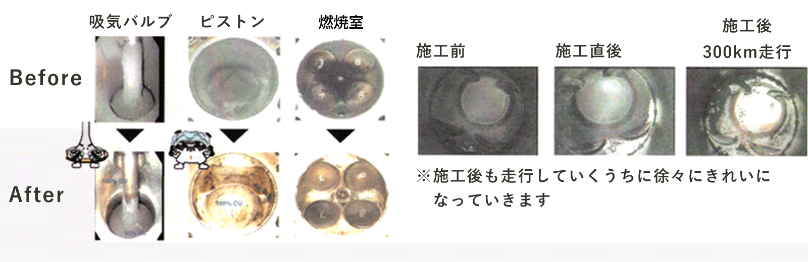 RECS̎gp